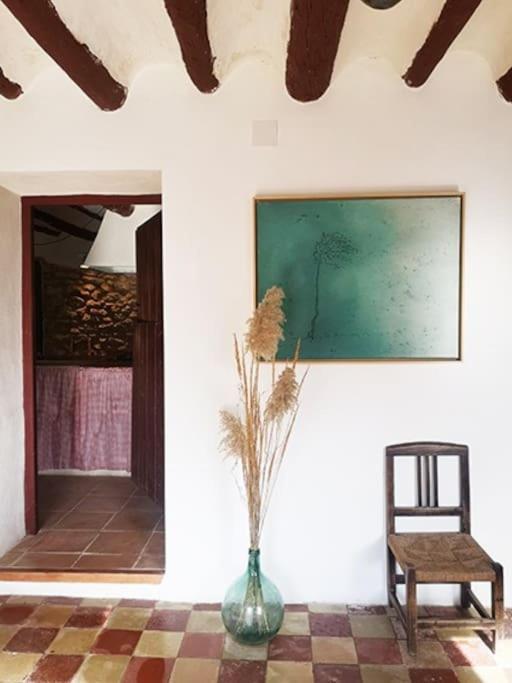 Casa Rural Quintina, Relax En La Sierra Del Segura Socovos Exterior foto